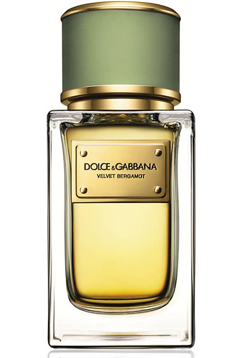 Velvet Bergamot Dolce&Gabbana for men